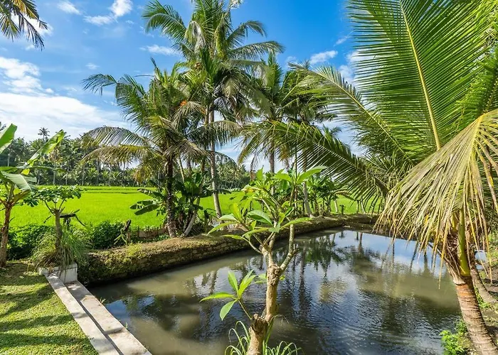 Family Ubud, 2 Bedrooms, Shared Pool, Garden, Rice Field & Jungle Views Ferienhaus
