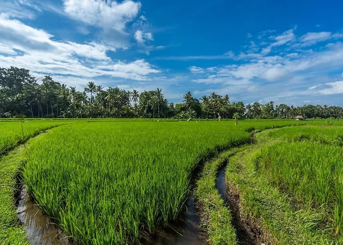 Family Ubud, 2 Bedrooms, Shared Pool, Garden, Rice Field & Jungle Views Ubud