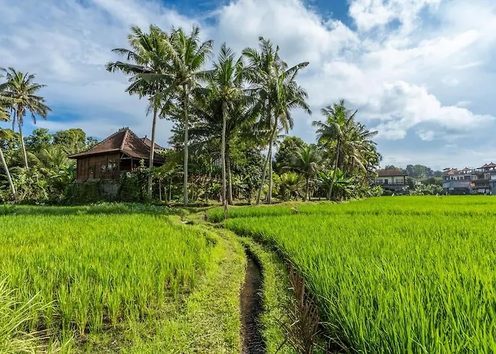 Family Ubud, 2 Bedrooms, Shared Pool, Garden, Rice Field & Jungle Views